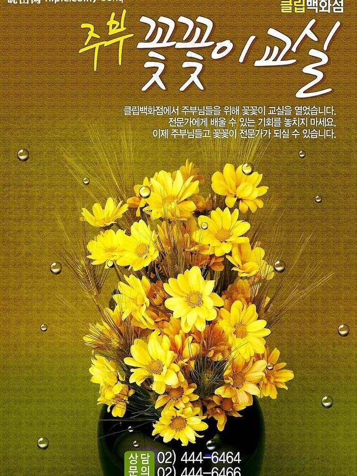 创意花瓶图片