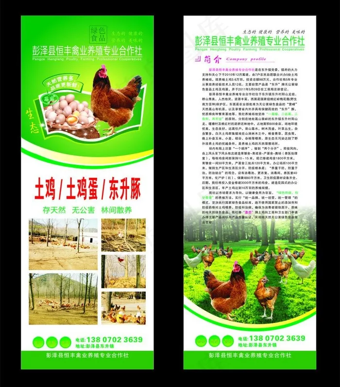 土鸡养殖x展架图片cdr矢量模版下载