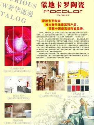 蒙地卡罗宣传单图片