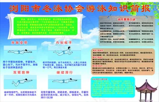 艺翔展报展板cdr源文件下载