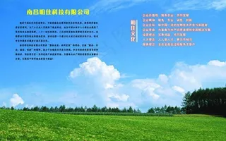 宣传册 画册 封套 猪饲料图片