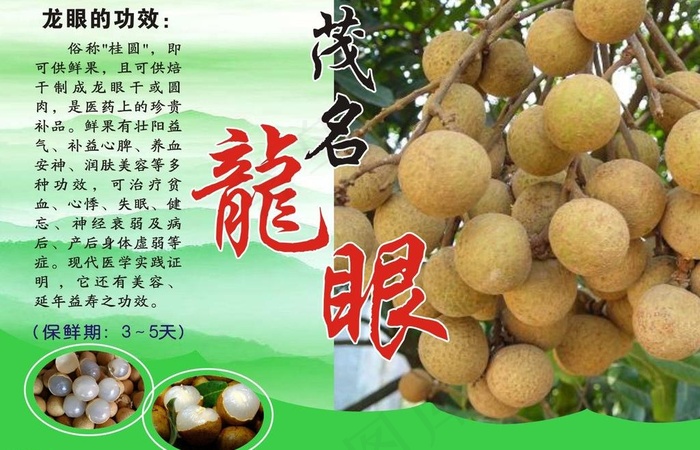 龙眼卡片图片cdr矢量模版下载