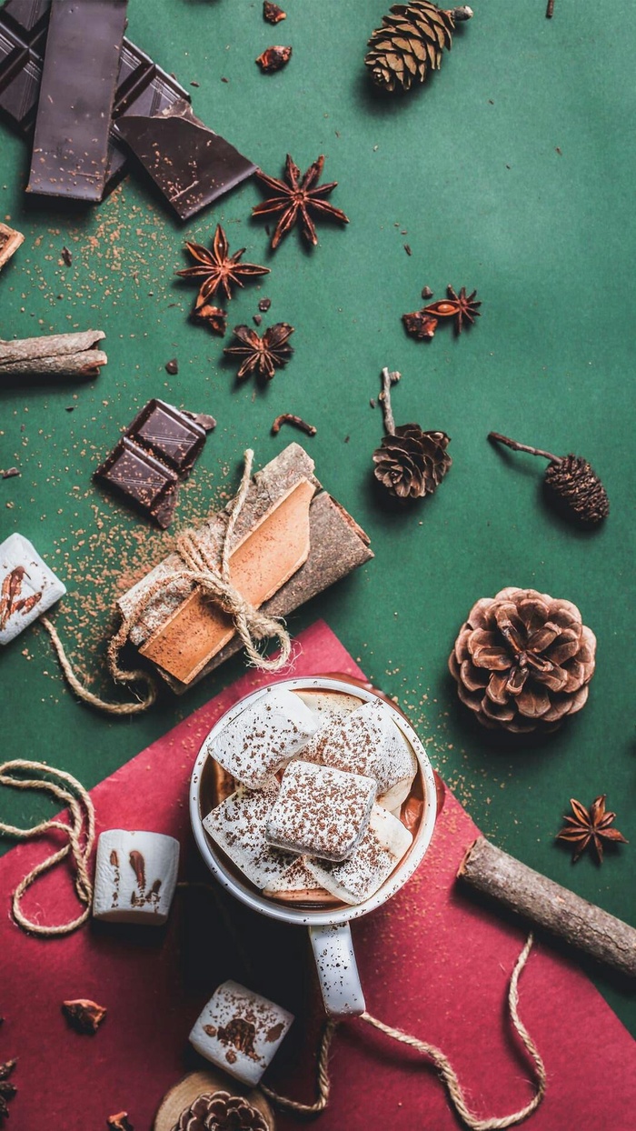 巧克力与松果高清摄影图片