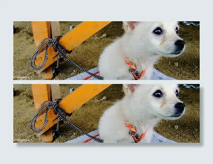 37张淘宝柔美日系暖色广告背景图片