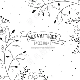 黑色和白色的花背景，手绘