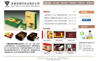 公司网站方案图片