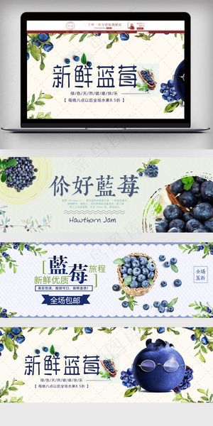 淘宝清新蓝莓水果海报