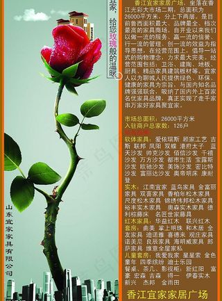 山东宜家 宣传单图片