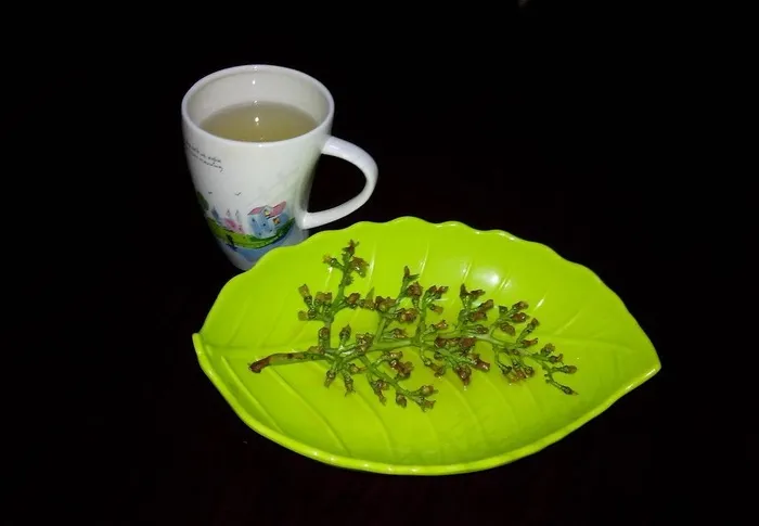 杯子 碟子图片