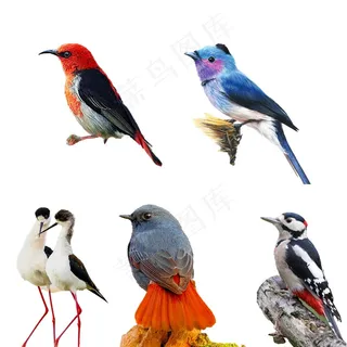 小鸟 免抠素材 PSD分层
