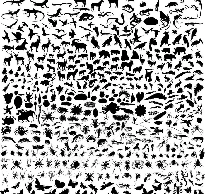 适量动物图片eps,ai矢量模版下载