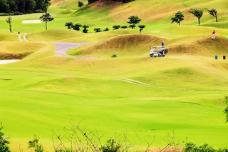 高尔夫球场绿地