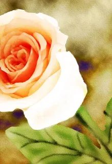 时尚装饰画图片