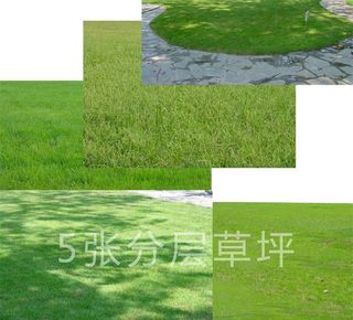 绿色草坪图片