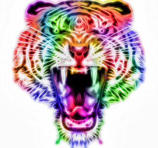 tiger fractal