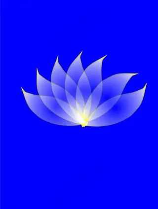 透明效果花图片