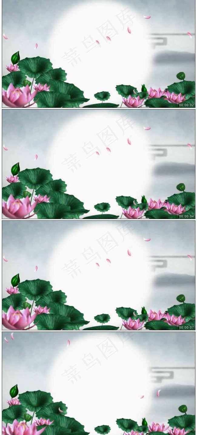 荷花开放竹叶仙鹤高清动态视频素材