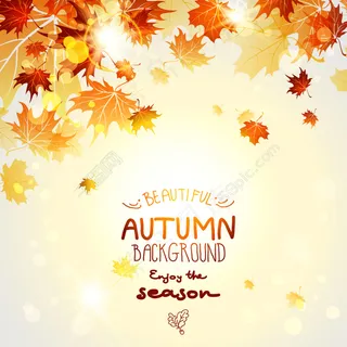 红叶红光背景矢量素材