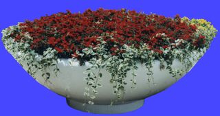 园林、建筑植物配景素材之花坛