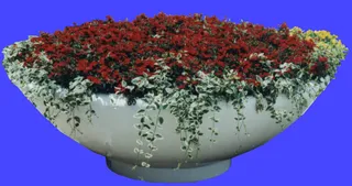 园林、建筑植物配景素材之花坛