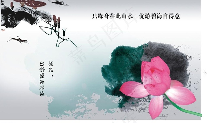水墨荷花图片cdr矢量模版下载