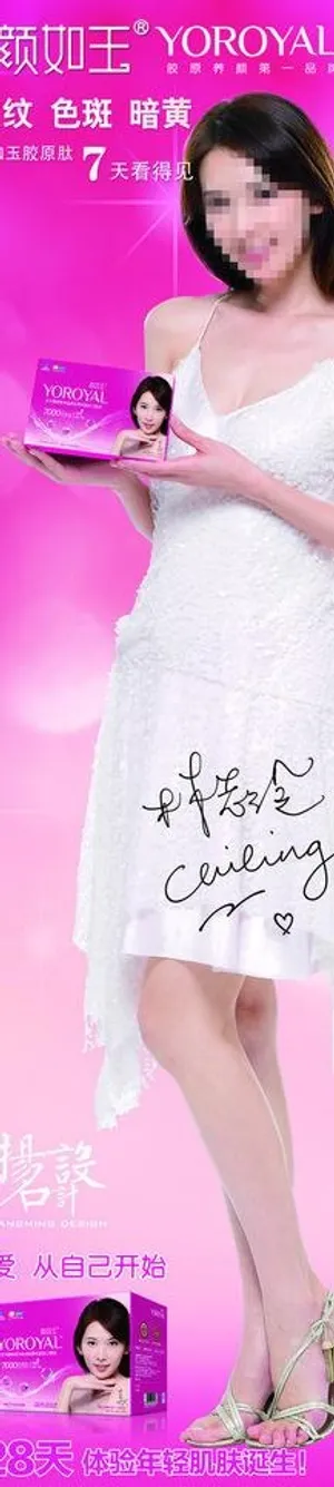 美容颜如玉支架图片