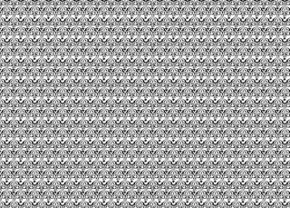 黑白花纹背景底纹图片
