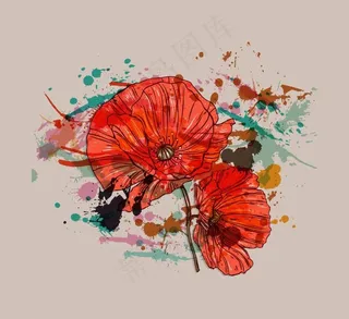 花朵 色彩 泼墨图片