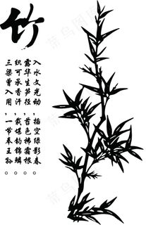 竹子图