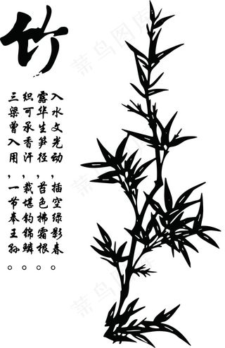 竹子图