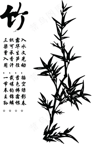 竹子图