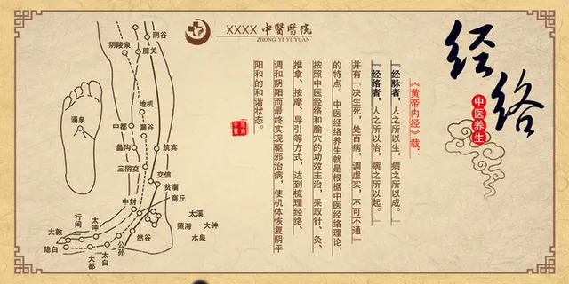 经络中医养生展板