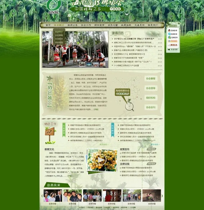 海南省槟榔协会首页图片psd模版下载