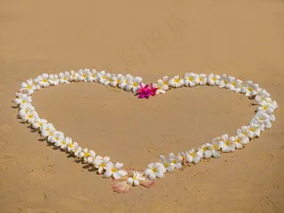 心形鲜花创意图案