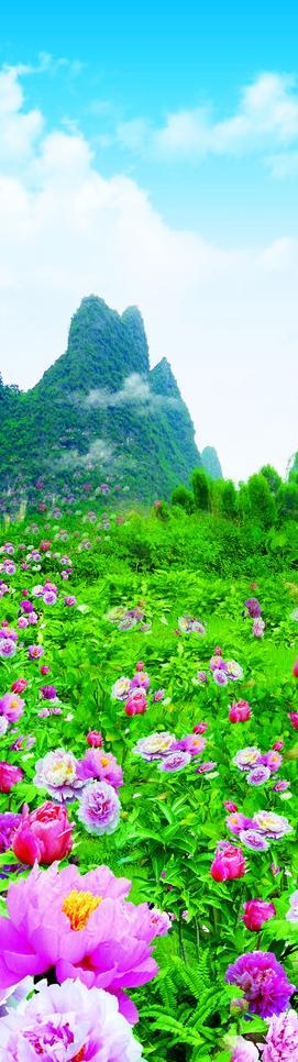 山水风景画图片(1020X3175(DPI:72))psd模版下载