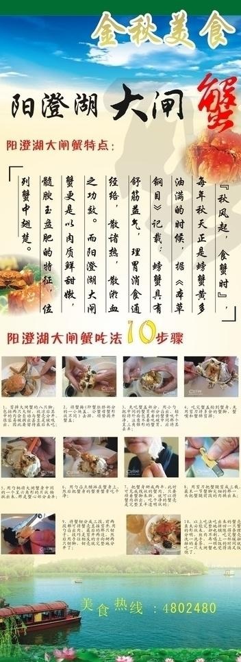阳澄湖大闸蟹图片cdr矢量模版下载