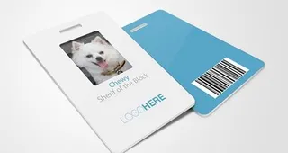 精美的工作证psd分层素材