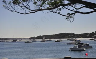 悉尼自然风光图片