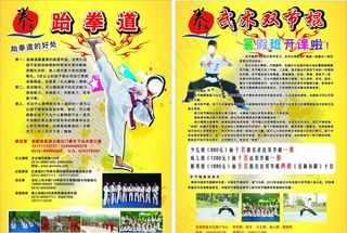 跆拳道宣传单 武术双