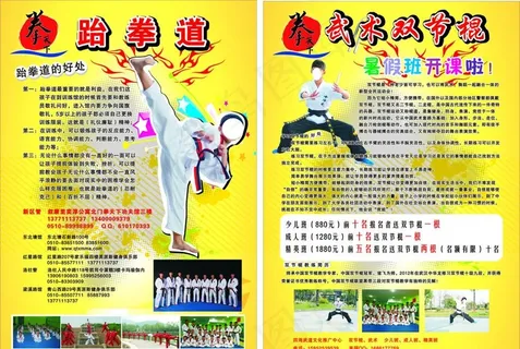跆拳道宣传单 武术双 跆拳道宣传单 武术双