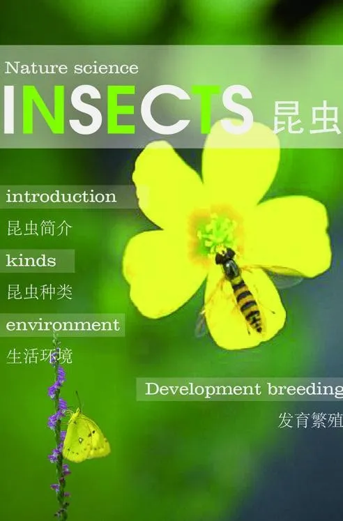 科普杂志封面设计图片ai矢量模版下载