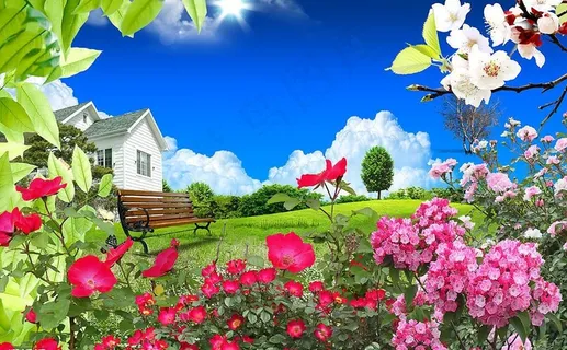 花样年华图片 花样年华图片