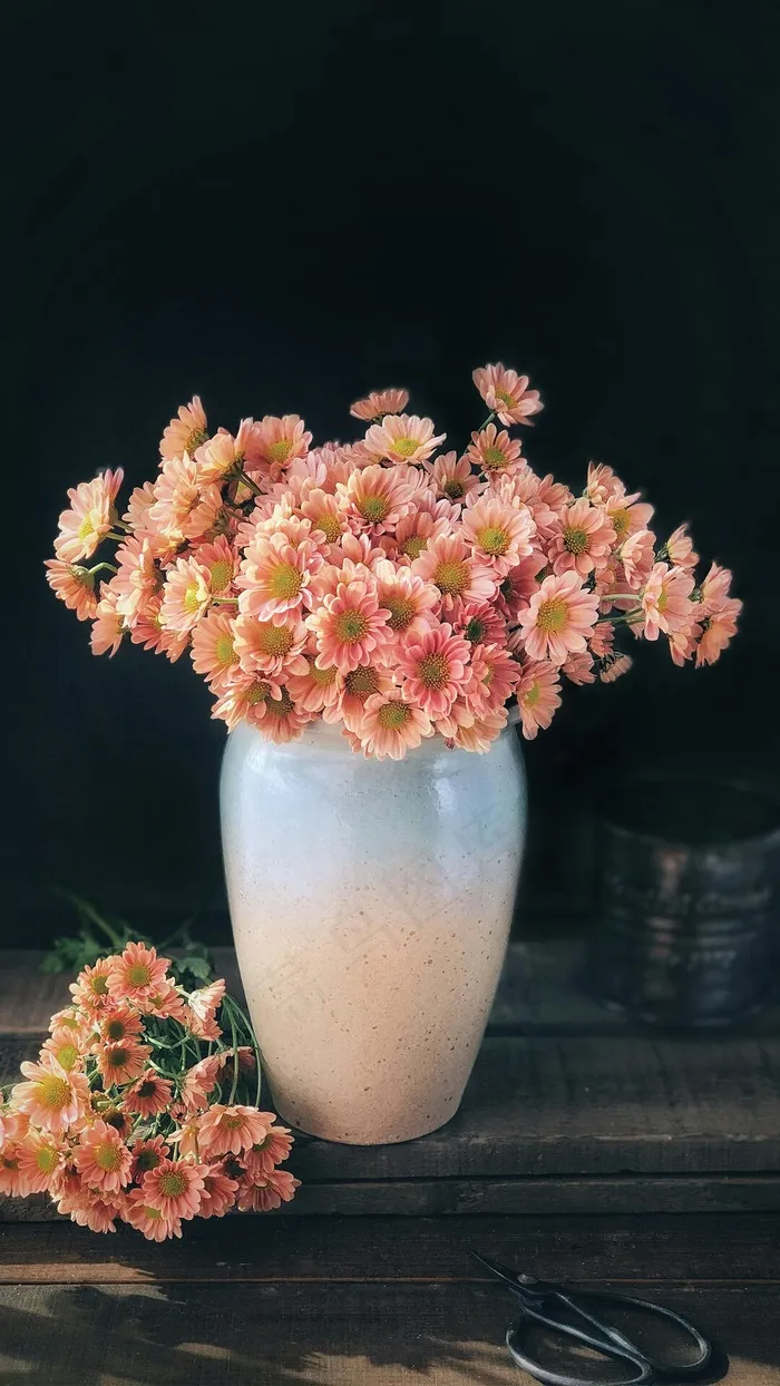 花高清摄影图片