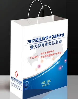 手提袋 纸袋 会议资料袋 (注平面...