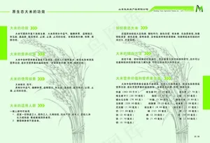 画册内页 大米