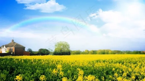 鲜花视频素材素材下载 鲜花视频素材素材下载