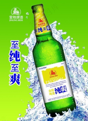 金陵啤酒图片