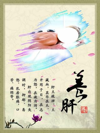 养肝中医养生文化海报