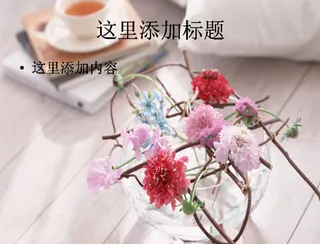 小清新盆栽鲜花室内特写PPT(6...