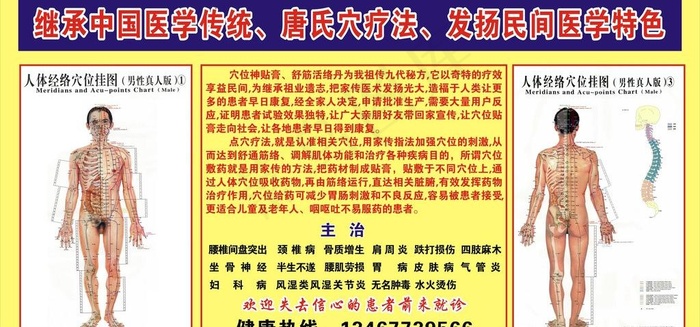 人体图图片